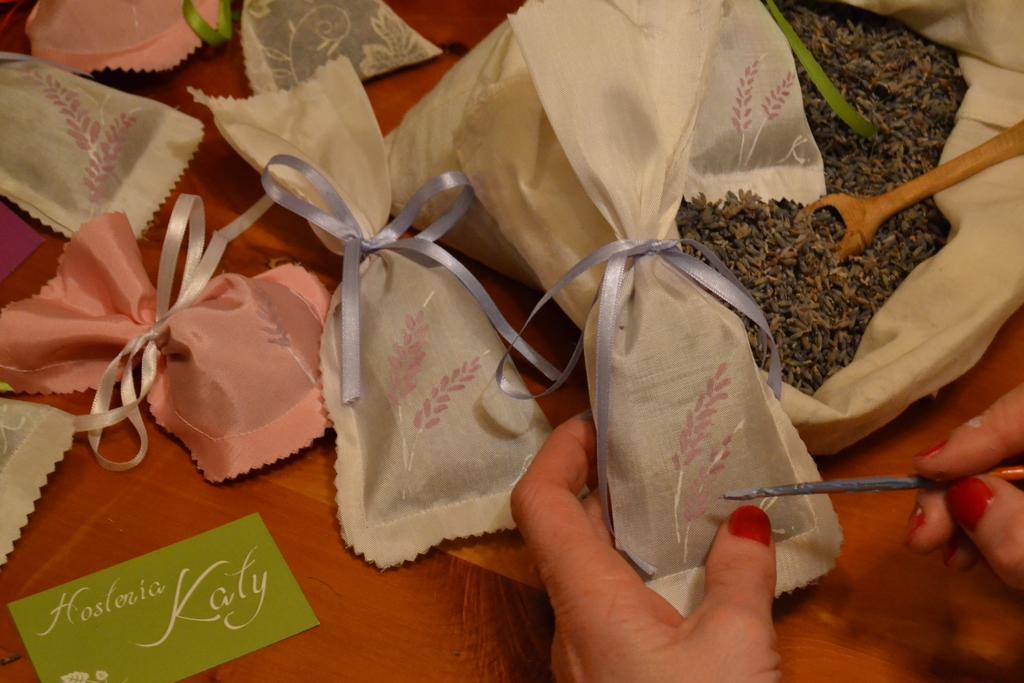 Hosteria Katy San Carlos de Bariloche Bagian luar foto