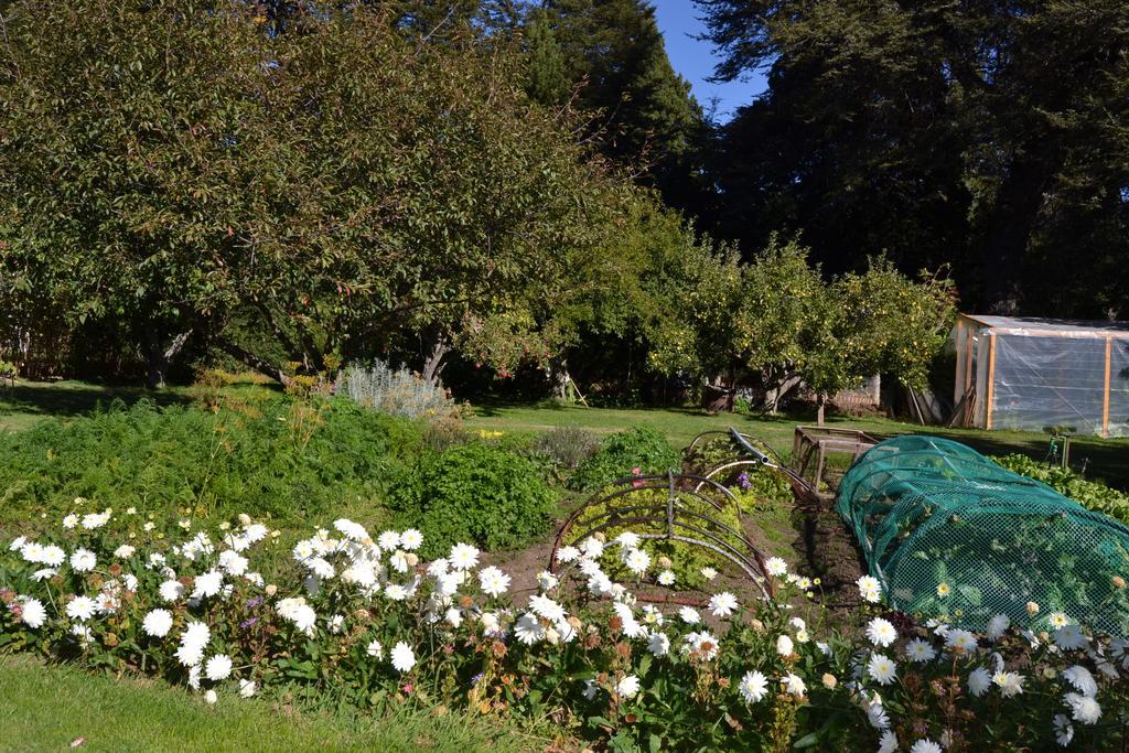 Hosteria Katy San Carlos de Bariloche Bagian luar foto